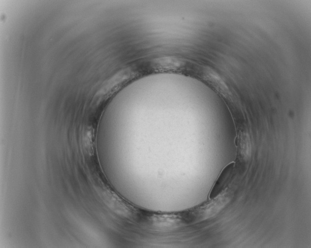 X0000087320378200705041720