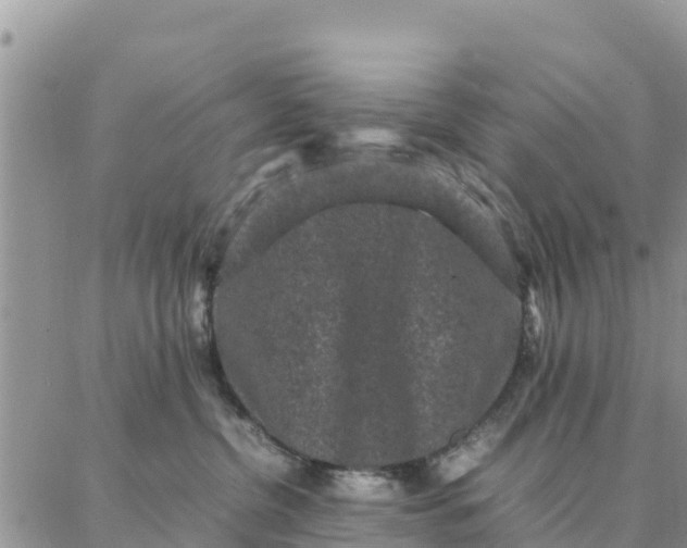 X0000087320380200705041720