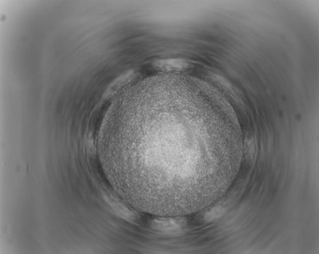 X0000087320381200705041720