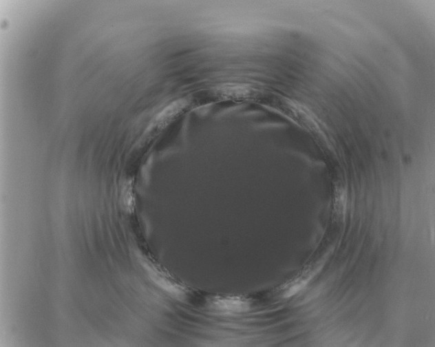 X0000087320383200705041720