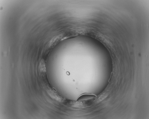 X0000087320384200705041720