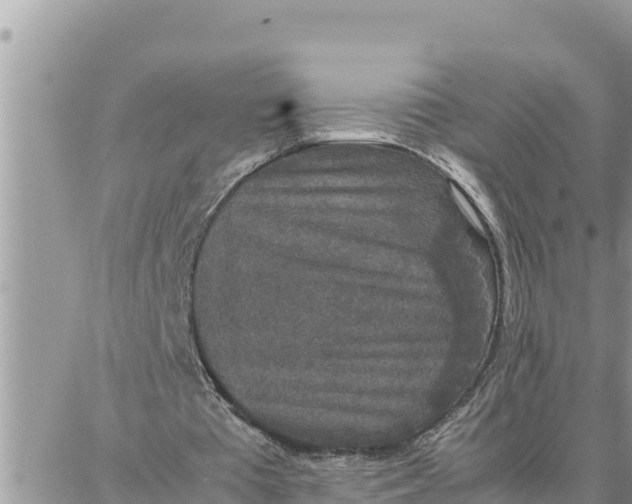 X0000087320385200705041720