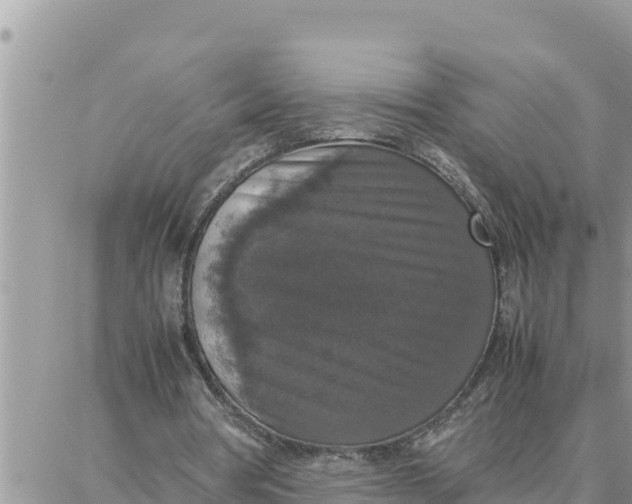 X0000087320386200705041720