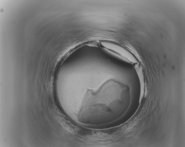 X0000087320387200705041720