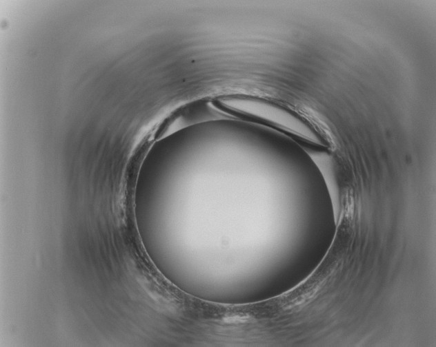 X0000087320388200705041720