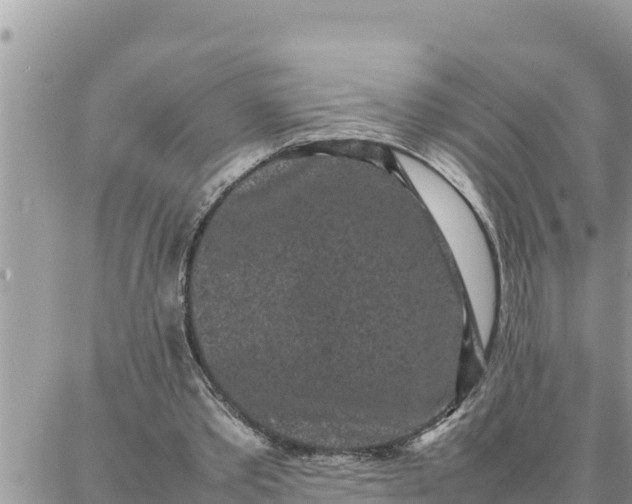 X0000087320389200705041720