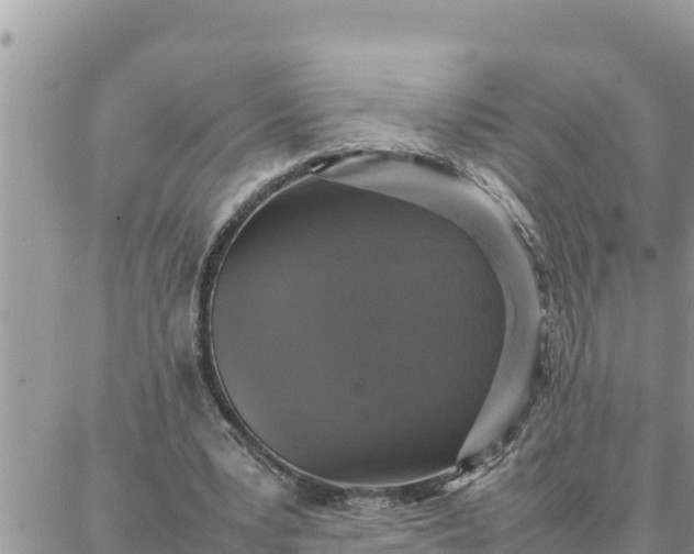 X0000087320391200705041720