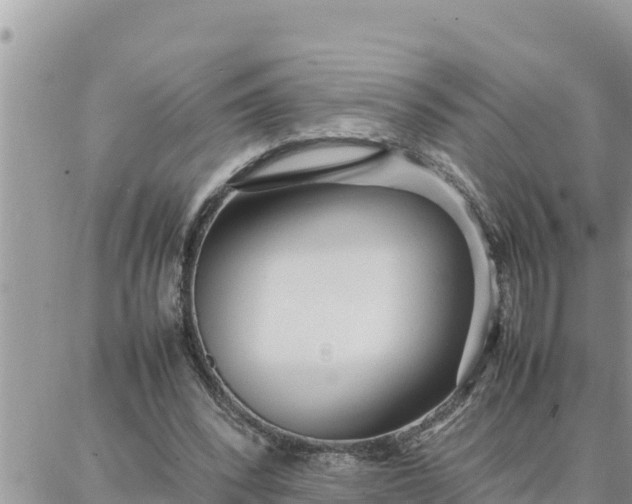 X0000087320392200705041720