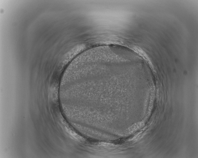 X0000087320393200705041720