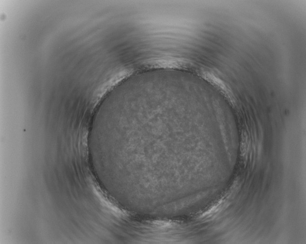 X0000087320394200705041720