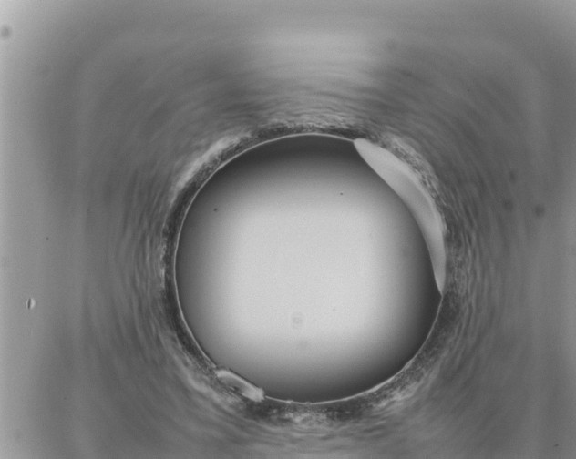 X0000087320395200705041720