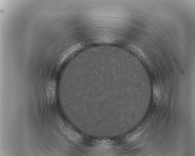 X0000087320396200705041720