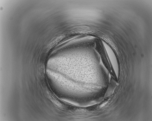 X0000087320397200705041720