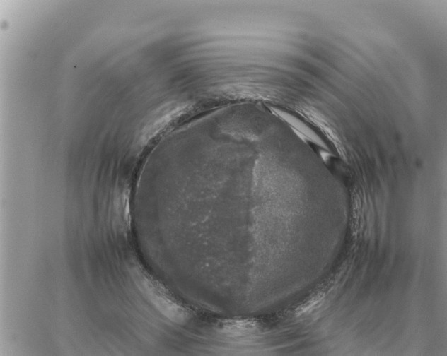 X0000087320398200705041719