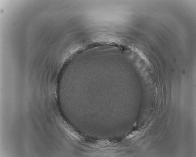 X0000087320399200705041719