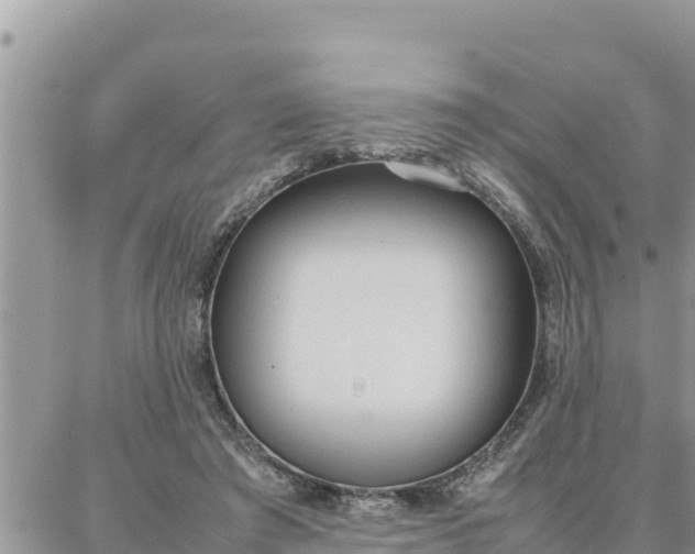 X0000087320401200705041719