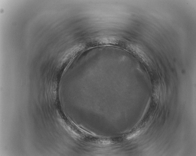 X0000087320402200705041719