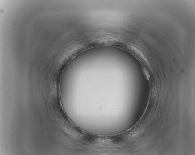 X0000087320403200705041719