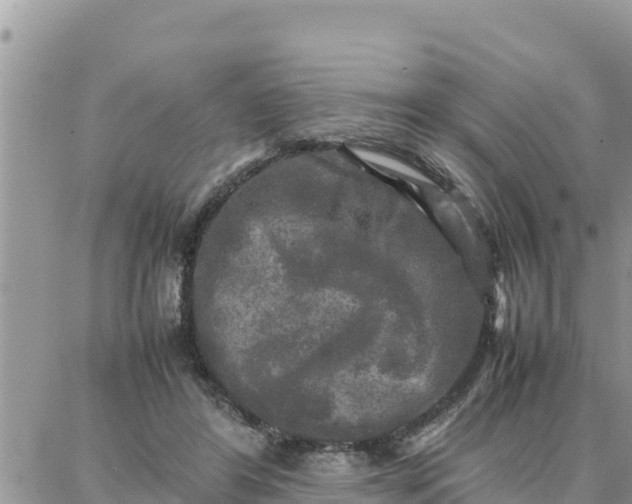 X0000087320404200705041719