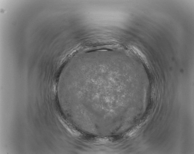 X0000087320405200705041719