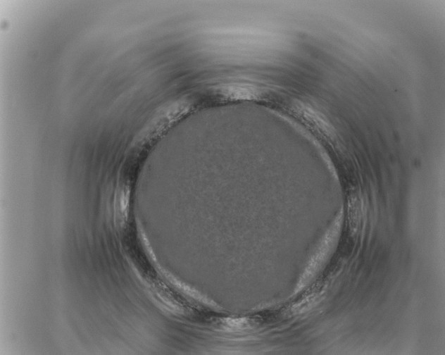 X0000087320406200705041719