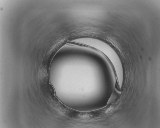 X0000087320407200705041719