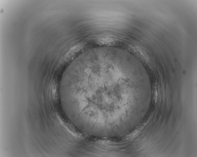 X0000087320408200705041719