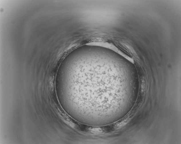 X0000087320409200705041719