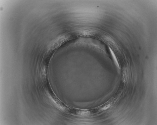 X0000087320410200705041719