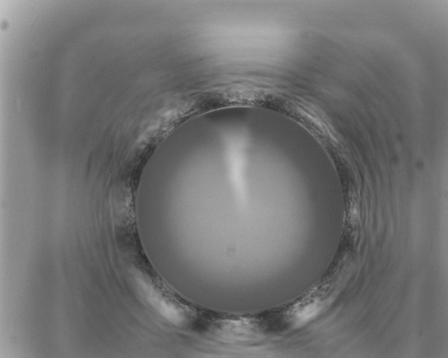 X0000087320411200705041719