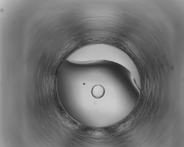 X0000087320412200705041719