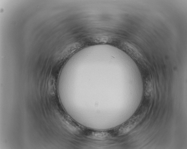 X0000087320414200705041719