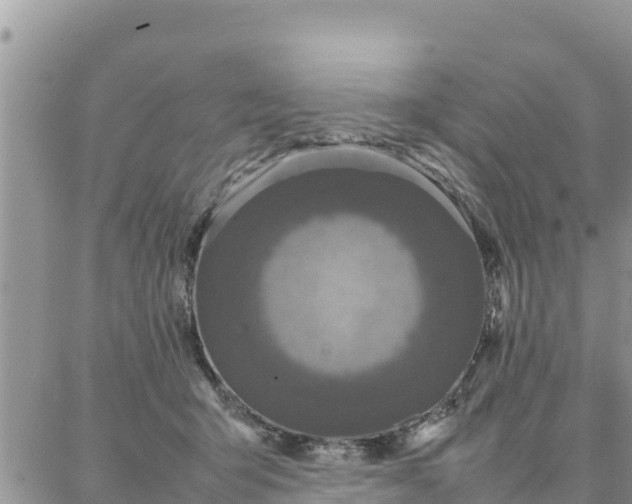 X0000087320415200705041719