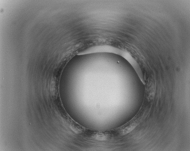 X0000087320416200705041719