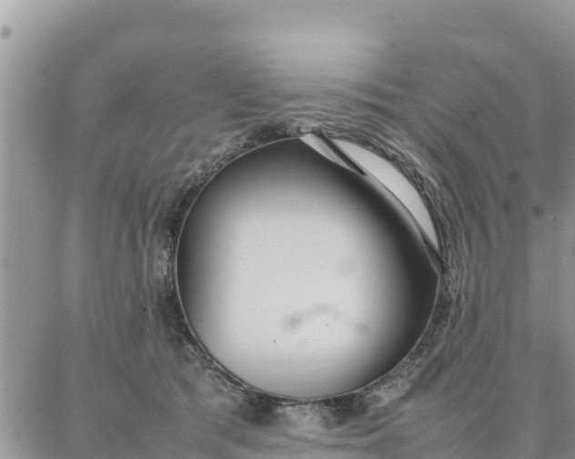 X0000087320417200705041719