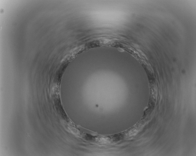 X0000087320419200705041719