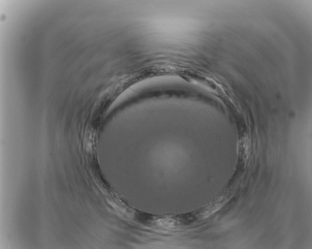 X0000087320423200705041719