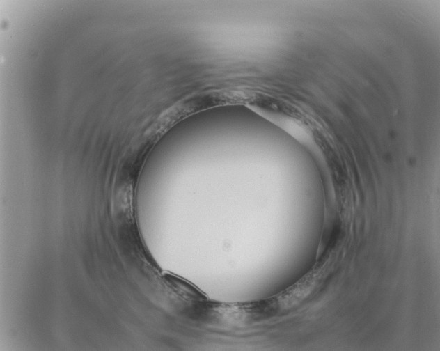 X0000087320425200705041719