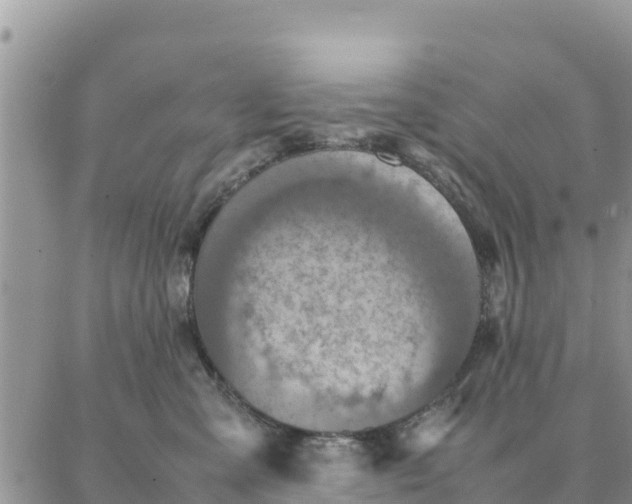 X0000087320427200705041719