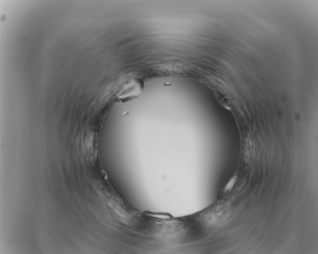 X0000087320428200705041719