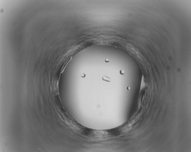 X0000087320429200705041719