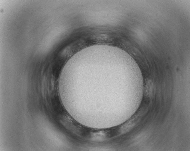 X0000087320430200705041719