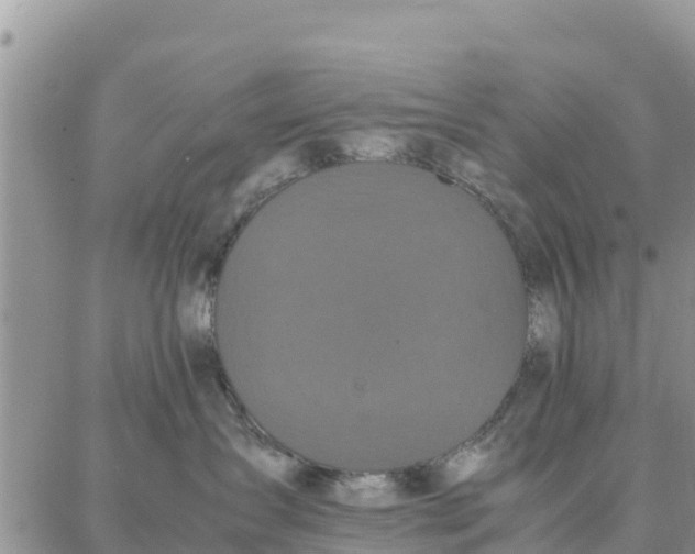 X0000087320431200705041719