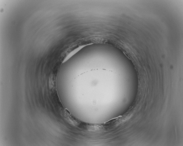 X0000087320432200705041719