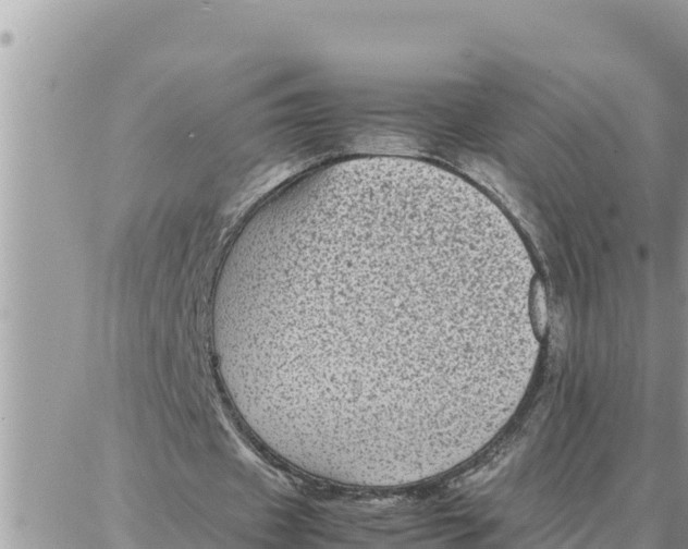 X0000087320433200705041718