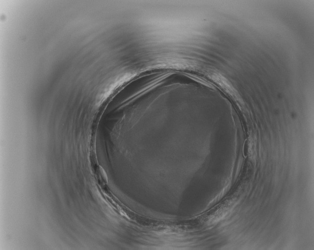 X0000087320434200705041718