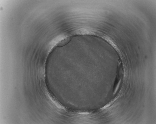 X0000087320438200705041718