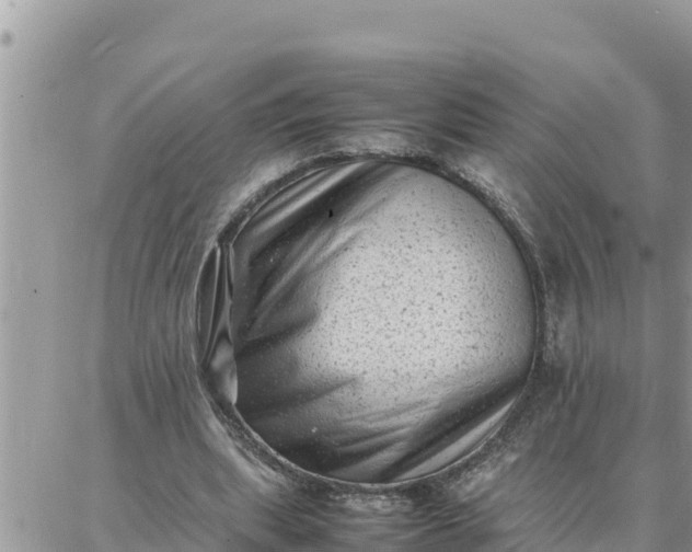 X0000087320439200705041718