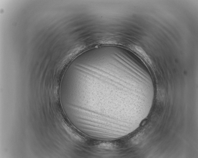 X0000087320441200705041718