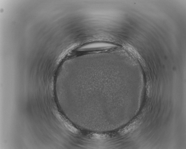 X0000087320442200705041718